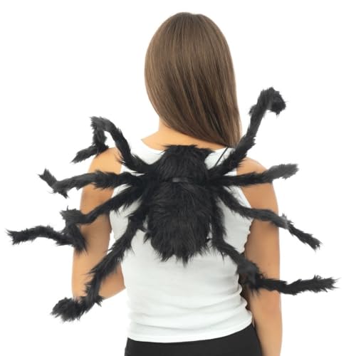 Photo complémentaire