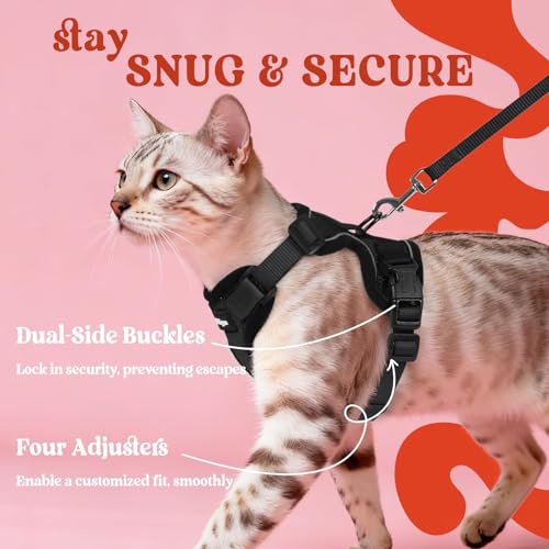 Image of rabbitgoo Cat Harness and Leash Set, Escape Proof Vest, Black | Soft Breathable Mesh, Easy Adjustable Fit, Snap Buckles, Sturdy Clip, Reflective Strips, for Kittens & Small Cats Walks, Xxs