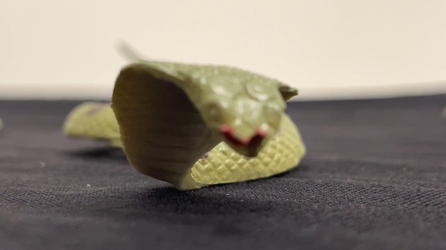 Aquatic & Water Snakes in Rhode Island (ID + Pictures) - Pond Informer