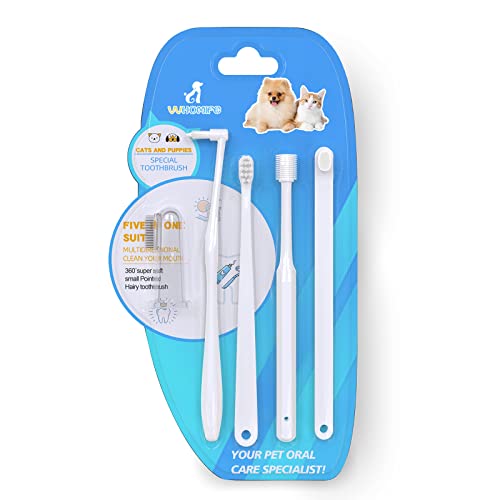 Top 5 Best Toothbrushes for Small Dogs (in 2023)
