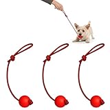 YTPAFK 3 Stück Hundeball am Seil, Ball an einem Seil für Hunde, interaktives Hundespielzeug zum...