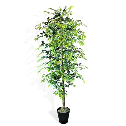 LCG Florals 8ft Artificial Ficus Tree in Black Plastic Pot - Real Wood Trunk, No Maintenance Indoor Faux Plant - Living Room, Home & Office Decor