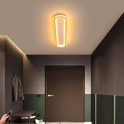 Plafond LED dimmable doré avec télécommande et design long moderne pour salon