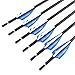 limaity Archery 31Inch Targeting Arrows Carbon Arrow 1000 Spine Practice Target Arrow 2 Inch Rubber Feather for Traditional Recurve Bow and Compound Bow Longbow (Blue, 12)