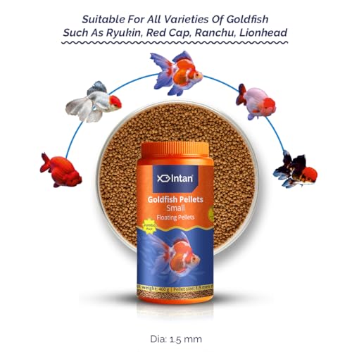 Image of Intan Goldfish Pellets for Fish | Small Floating Pellets | Daily Nutrition Fish Feed for Health & Growth | Jumbo Pack 460 Gm, Pellet Size - 1.5 mm Dia