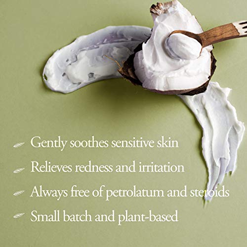 Wash with Water Plant Therapy Vegan AntiWrinkle Face & Body Butter