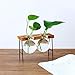 Produktbild Gaddrt Vasen Kreative Hydroponische Pflanze Transparente Vase Holzrahmen Coffee Shop Room Decor