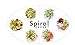Magimix Spiral Expert 17501