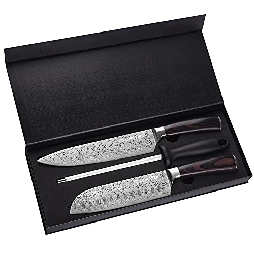 Longyier Kitchen Knife, High Carbon Stainless Steel Japanese Chef's Knife Set, Including a 8-inch Chef's Knife, a 7-inch Santoku Knife and a Sharpening Rod, The Best Choice for Kitchen