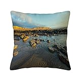 Fundas de Almohada de algodón y Lino,Tocones Árbol Inglés Canal Marea Restos Corte Acantilados Petrificados Bosque Formado Vintage, decoración de sofá para el hogar Almohada Cuadrada 18 'x18