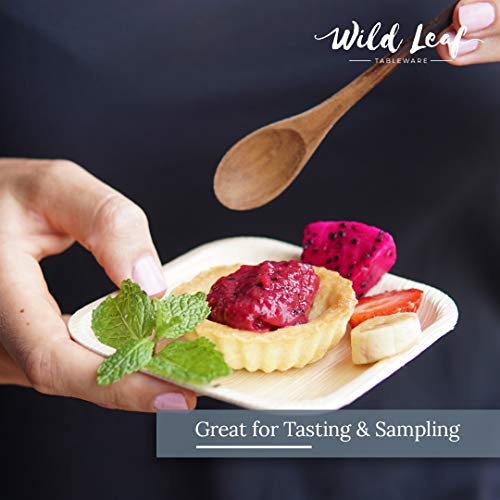 Wild Leaf Tableware Disposable Mini Canape Plates, 4 Inch / 25 Pack. Small, Bite-Size Bamboo Tasting Plates, Perfect For Cocktail Parties And Catering Events. Eco Friendly Palm Leaf Plates #TOP3