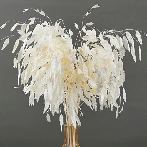 Dried White Chasmanthium Grass Flowers Bouquet, 10 Pcs 17" Natural Real Plant Leaves For Vase, Diy Floral Arrangements, Weddings Party, Home, Baby Shower, Elegant Decor #TOP8