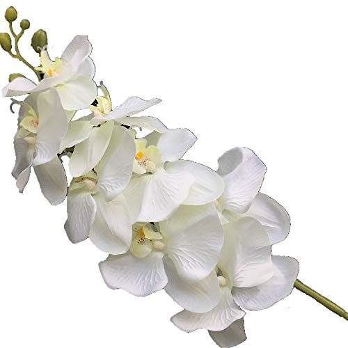 Orchidée papillon orange à 8 têtes florales pour centre de table - 5