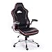 Polironeshop Le Mans Chaise/Fauteuil présidentiel pour gaming, racing, poste de direction, ameublement pour bureau, maison, studio professionnel noir