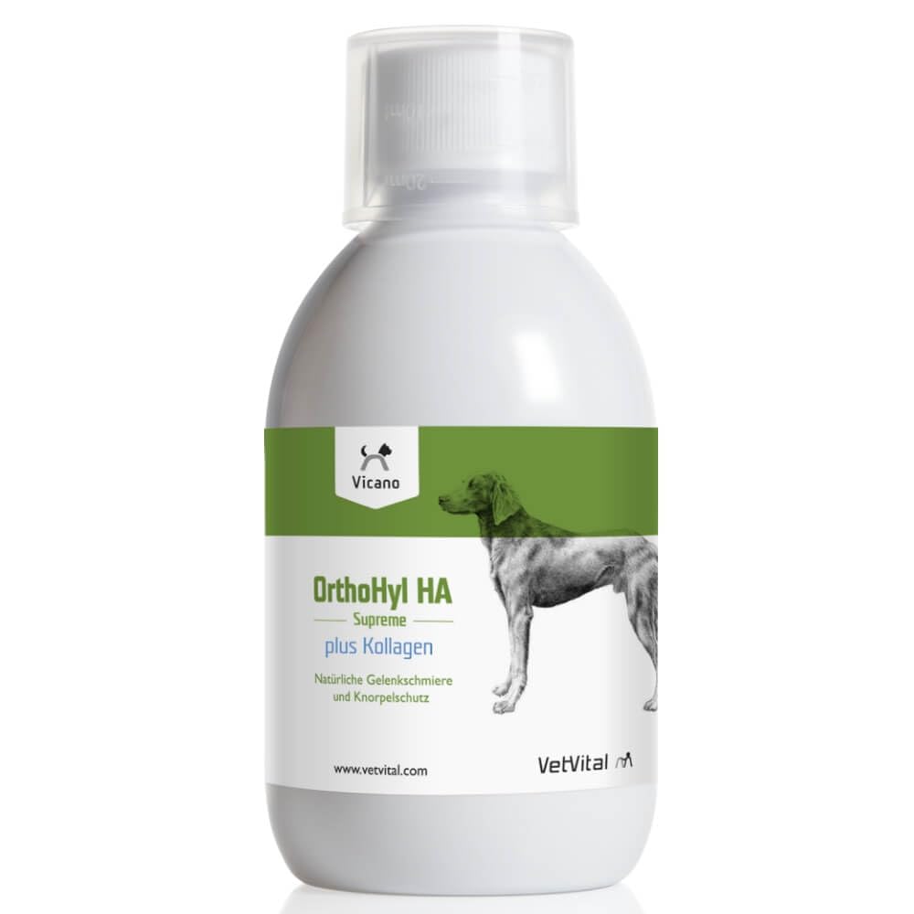Vicano OrthoHyl HA Supreme Plus Kollagen | 500 ml | Ergänzungsfuttermittel für Hunde