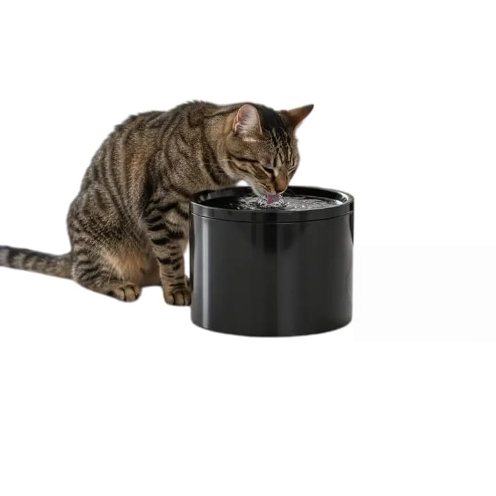 Ceramic Cat Fountain 1L (Black)