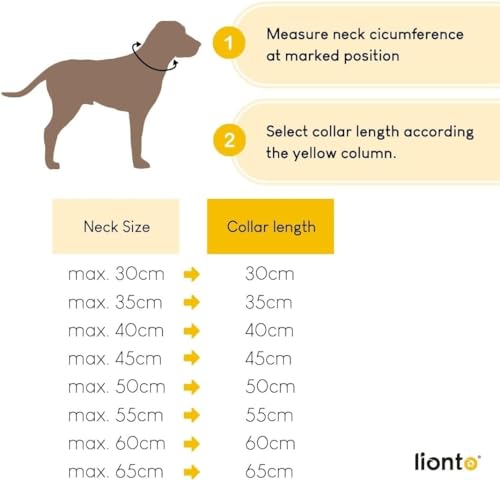 lionto Hundehalsband aus strapazierfähigem Nylon für Hundetraining, Länge 55 cm, 1 cm Dicke, Zugstopp Halsband für Hunde, Lederimitat mit Metallring & Anpassung durch stufenlosen Schieber, rot