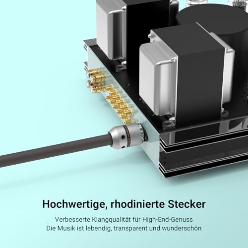 Enchufe Schuko chapado en rodio transparente y conector IEC 320 C15 rodiado 6