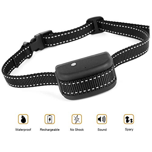 dog training no barking