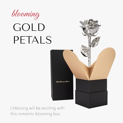 Image of Forever Rose Real Rose Dipped in Platinum, Bloom Box and Phantom Vase