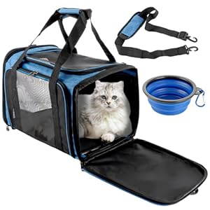 Transportbox Katze, Katzentransportbox 45cm*30cm*30CM, Katzen Transportboxen Hunde Transporttasche, Atmungsaktive Katzentasche mit Mesh-Fenster für Katzen Kleiner Hund Welpe