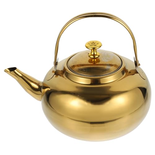Cabilock Whistling Tea Kettle with Infuser 18cm Stovetop Teapot for Household Use Water Kettle for Boiling and Brewing Tea Finish