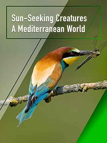 Sun-Seeking Creatures - A Mediterranean World