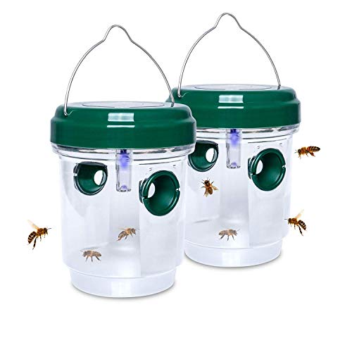Comparison of Best Paper Wasp Traps [Experts 2023 Reviews]