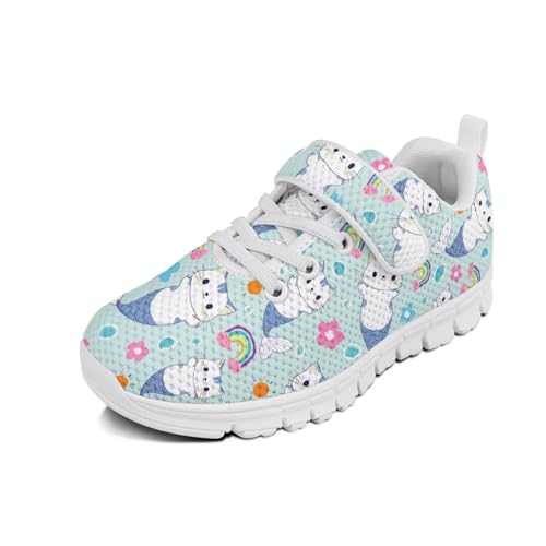 Little Kid Tennis Shoes Slip On Boys Girls Sneakers Casual Running Shoes Woven Breathable with Soft Soled Sports Hook-Loop Outdoor Shoes Cat Fish Rainbow Pattern