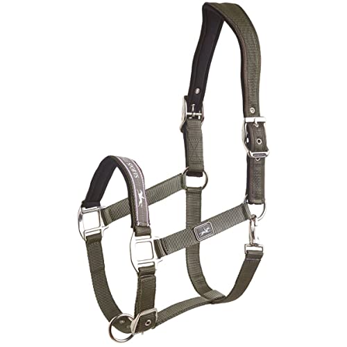 SCHOCKEMÖHLE SPORTS GMBH Memphis Anatomic Oliv - WARMBLUT Cover