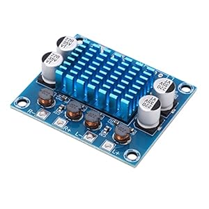 TPA3110 12V-24V tweekanaals versterkermodule voor digitale versterkerkaart en audioapparatuur