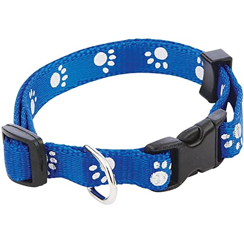 RvPaws Nylon Adjustable Collar Paw Print Cute Small Dogs & Puppy Collar for Mini Dogs & Cat Collar 15 MM Blue (B09NDY1WBX) Amazon Price History, Amazon Price Tracker