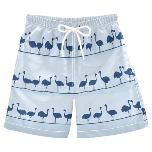 Boys Beach Board Shorts Blue Ostrich Animal Swim Trunk Teen Swimwear 8-16Y