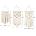 Mokof 3 Pack Macrame Wall Hanging Small Woven Art Boho Wall Decor