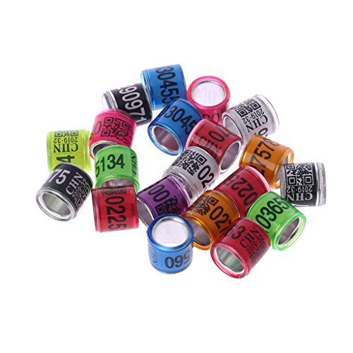 46 los mejores anillas para palomas en 2022 [según 432 expertos