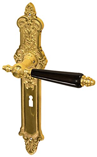 Preisvergleich Produktbild Antiker Türdrücker mit Langschildern für Zimmertüren / Gründerzeit aus poliertem Messing / BB Modell Königswinter / handgefertigt nach historischen Vorlagen
