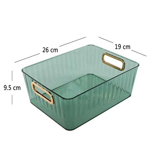 Boite de rangement transparent vert plastique pour trier