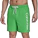 Calvin Klein Men's Volley Quick Dry Lightweight Swim Trunk Swimming Trunks, Green, M