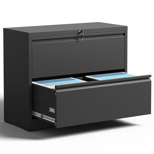 BIZOEIRON 2 Drawer Lateral File Cabinet with Lock, Metal Filing Cabinets for Home Office, Steel...