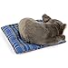 Carl Dick Bulldog francés sobre Almohada 23cm Imagen de Carl Dick Bulldog francés sobre Almohada 23cm