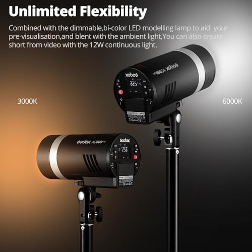 Ficha técnica Godox AD300 Pro Outdoor Camera Flash Light Video Light 300Ws TTL 2.4G 1/8000 HSS con 2600mAh Battery para Canon Nikon Sony Fuji Olympus Pentax Camera AD300PRO Only - Fernando Cortés