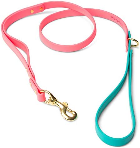 Dog leashes for Small Dogs or Dog leashes for Medium Dogs- Our Double Handle Leash , biothane Dog Leash has Poop Bag Holder . Teal & Pink Dog Leash Makes Dog Collar and Leash Set with Our Collars