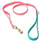 Dog leashes for Small Dogs or Dog leashes for Medium Dogs- Our Double Handle Leash , biothane Dog Le