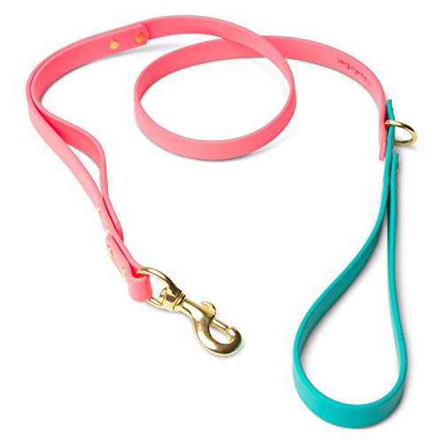 Dog Leashes For Small Dogs Or Dog Leashes For Medium Dogs- Our Double Handle Leash , Biothane Dog Leash Has Poop Bag Holder . Teal & Pink Dog Leash Makes Dog Collar And Leash Set With Our Collars #TOP17