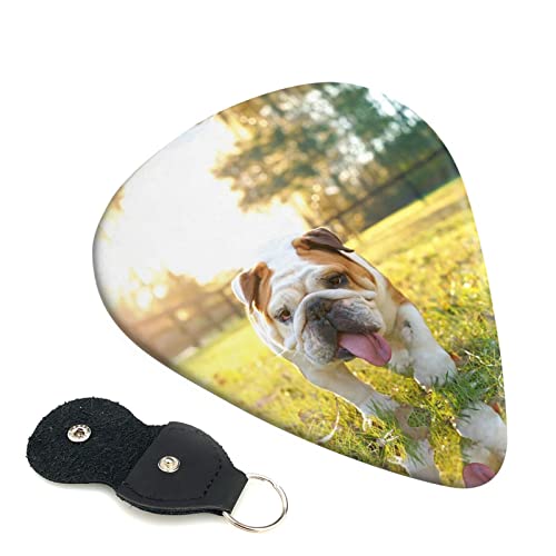 Cute Bulldog Puppy Lot de 6 médiators pour guitare acoustique, guitare électrique, basse, ukulélé – fin, moyen et épais. - Les Beatles, Paul McCartney, John Lennon, RIngo Starr, George Harrison Cute Bulldog Puppy Lot de 6 médiators pour guitare acoustique, guitare électrique, basse, ukulélé – fin, moyen et épais.