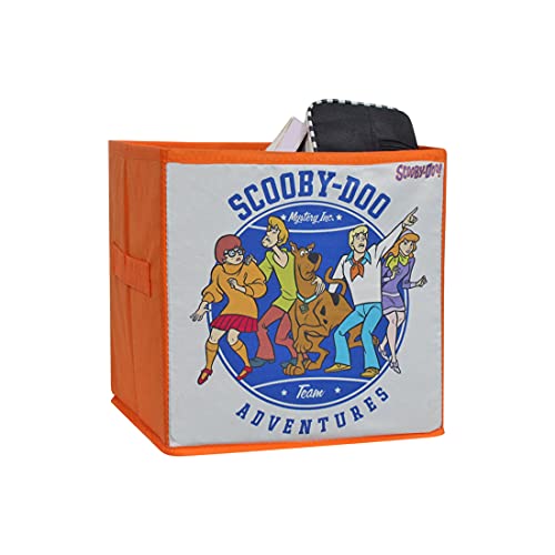 Image of Scooby Doo Toys Organizer Storage Box for Kids,Small (Pack of 1)
