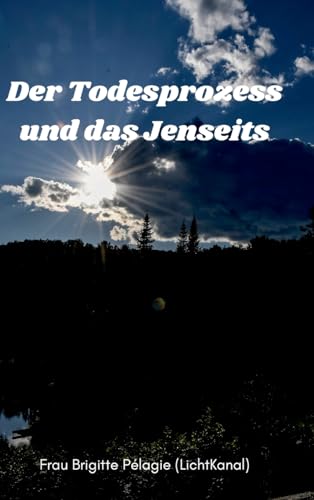 Der Todesprozess und das Jenseits (Hardcover) (German Edition)