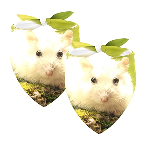 Pañuelo para Perro Hámster Mascota Blanco 2 Uds Regalo De Cumpleaños Lavable Gato Bandana Cuadrado Estampado Babero Cover