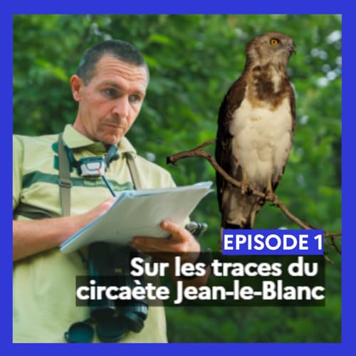 Episode 1 : Sur les traces du Circaète Jean-le-Blanc