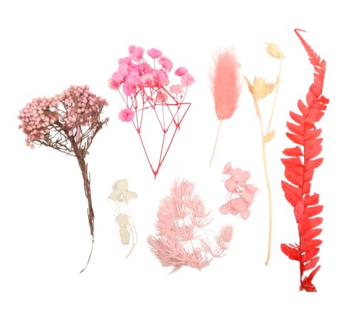 Flores secas variadas 2"-9" para manualidades miniatura 2